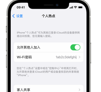 大田apple服务站点分享iPhone上个人热点丢失了怎么办 