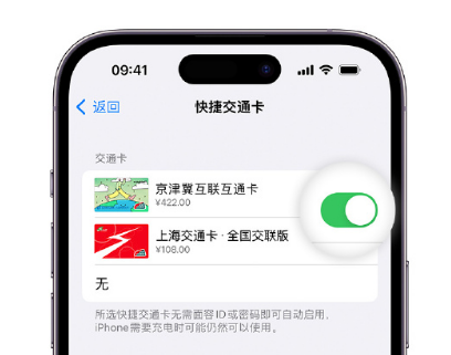 大田apple维修点分享iPhone上更换Apple Pay快捷交通卡手绘卡面 