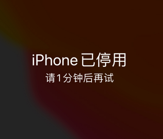 大田苹果手机维修分享:iPhone 显示“不可用”或“已停用”怎么办？还能保留数据吗？ 