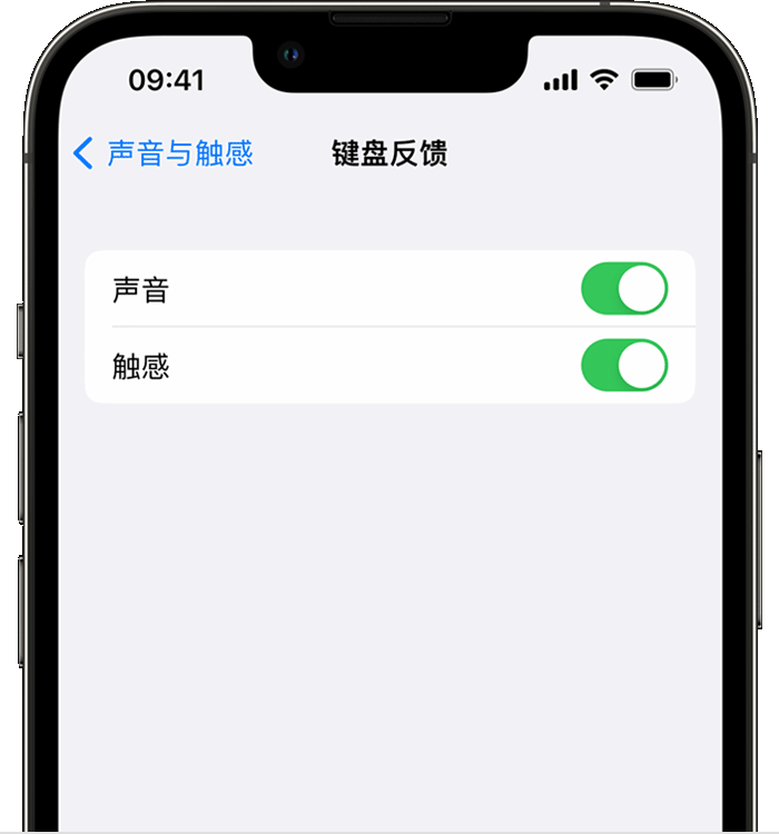 大田苹果14维修店分享如何在 iPhone 14 机型中使用触感键盘 