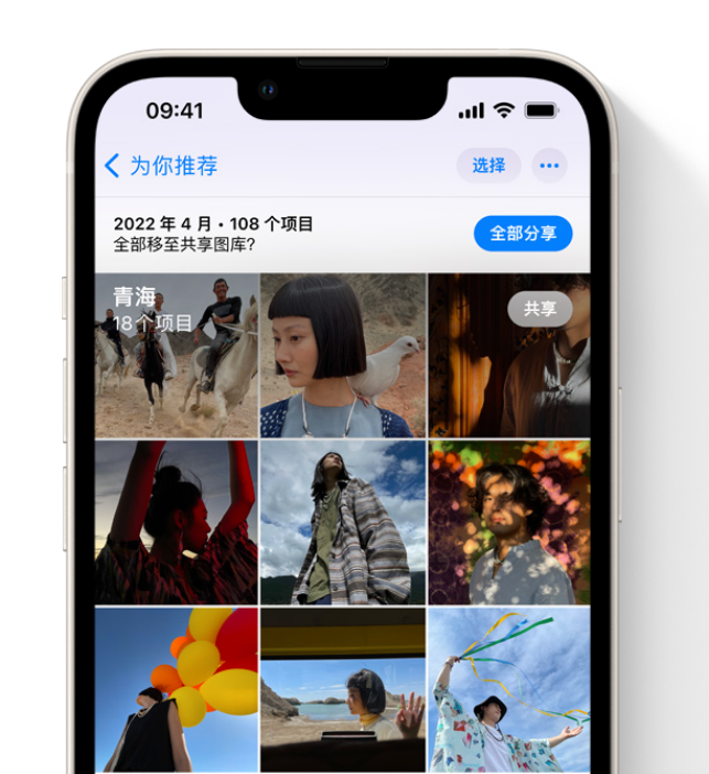 大田苹果维修网点分享在 iPhone 上使用共享图库 