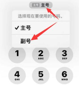 大田苹果14维修店分享iPhone 14 Pro Max使用副卡打电话的方法 