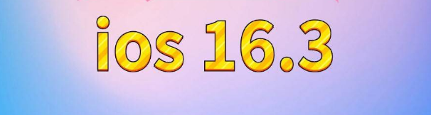 大田苹果服务网点分享苹果iOS16.3升级反馈汇总 