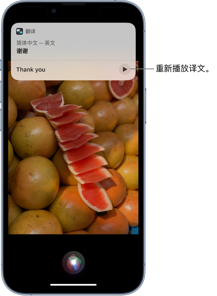 大田苹果14维修分享 iPhone 14 机型中使用 Siri：了解 Siri 能帮你做什么 