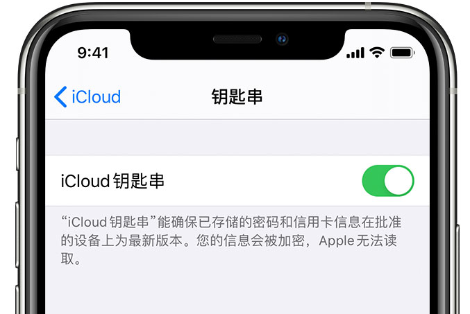大田苹果手机维修分享在 iPhone 上开启 iCloud 钥匙串之后会储存哪些信息 