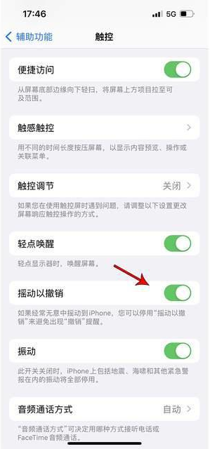 大田苹果手机维修分享iPhone手机如何设置摇一摇删除文字 