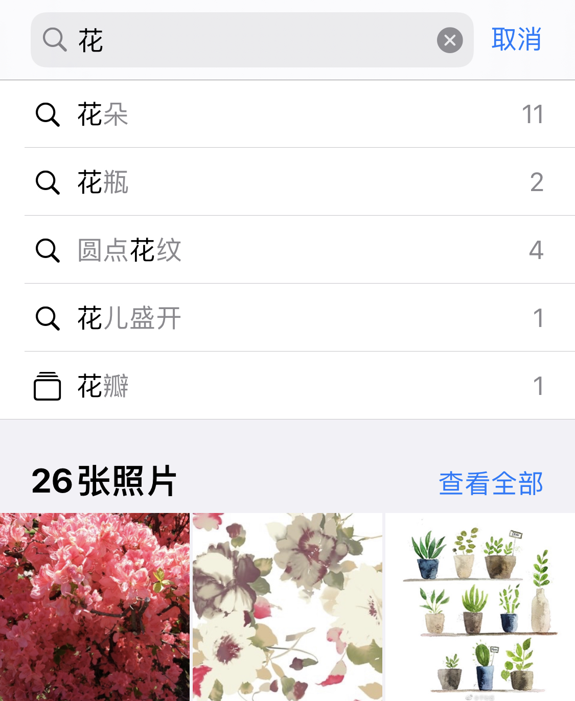 大田苹果手机维修分享iPhone 小技巧 