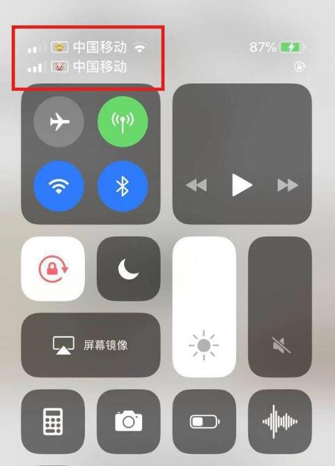 大田苹果手机维修分享为 iPhone 12 双卡设置标签 